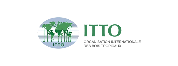 Logo ITTO