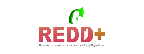 Logo REDD+